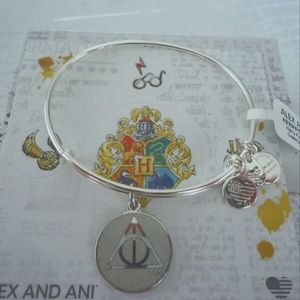 Alex and Ani Harry Potter DEATHLY HALLOWS Color Infusion Bangle W/Tag Card & Box